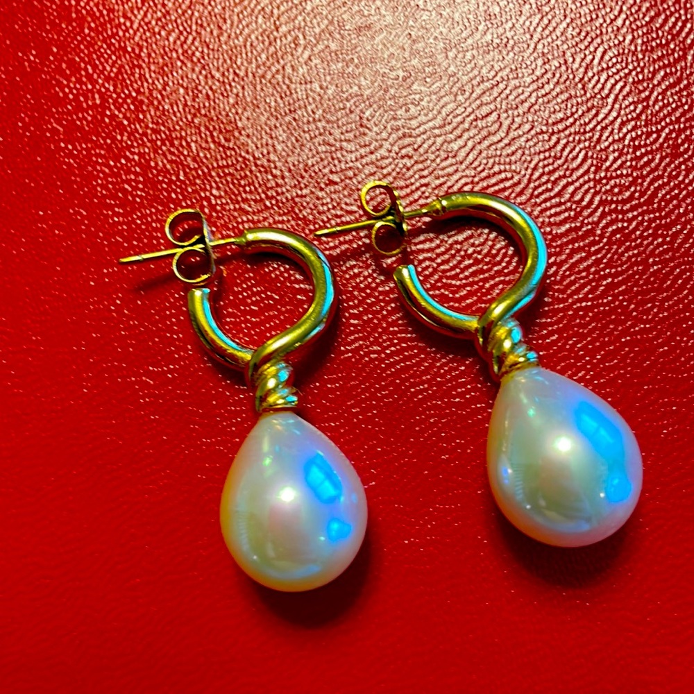 Metropolitan Museum of Art earrings